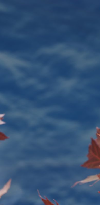 Spyderco Dragonfly 2 Emerson Opener