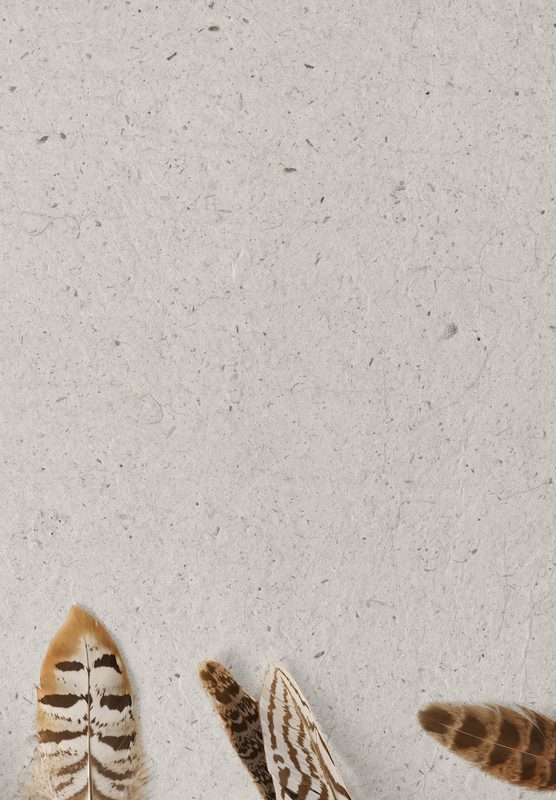 Spyderco Meadowlark 2 2 2 Meadowlark 2 Lightweight